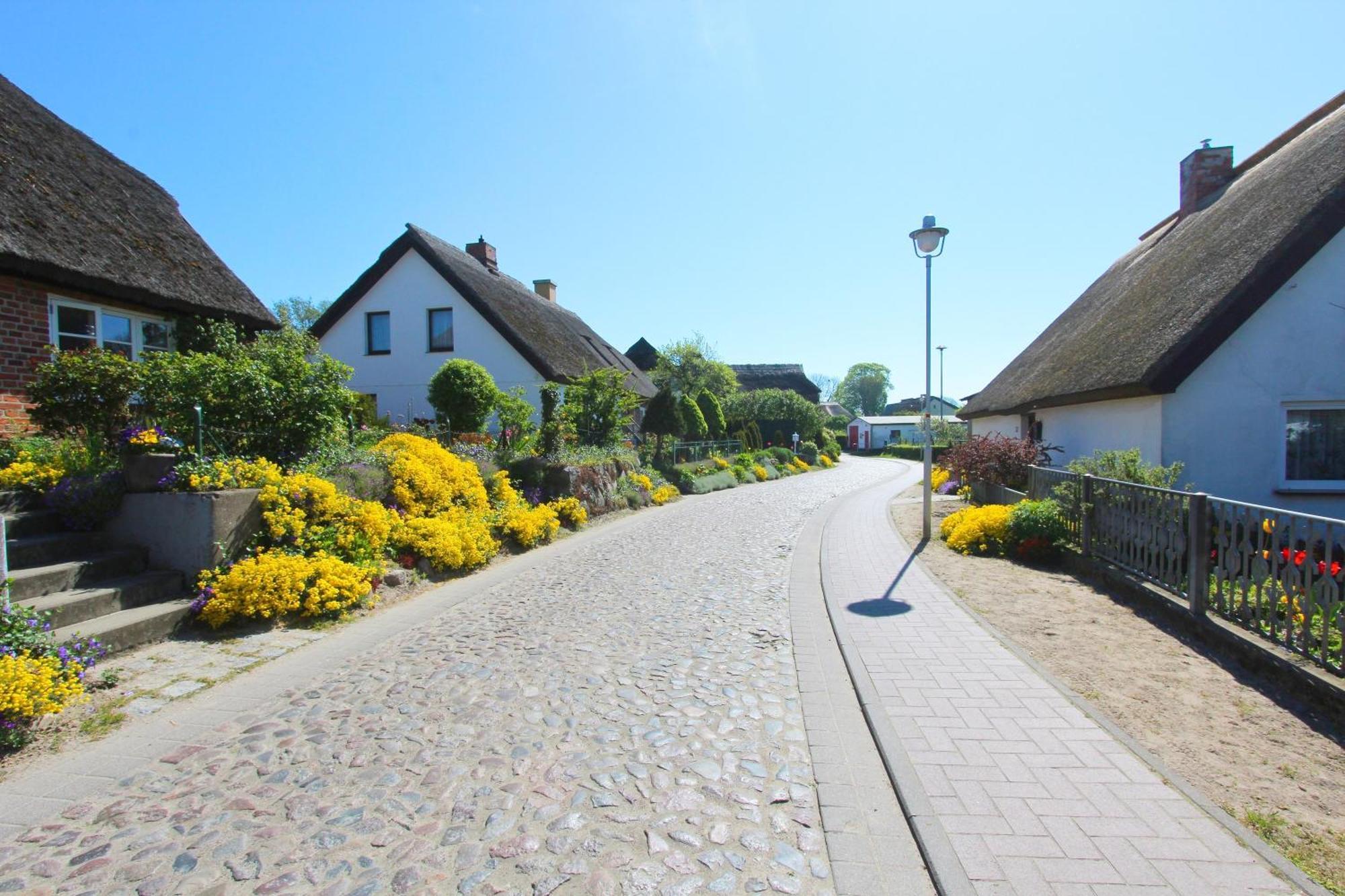 Ferienhaus Distelfink Fewo 04 Terrasse, Meerblick Gross Zicker Exterior foto